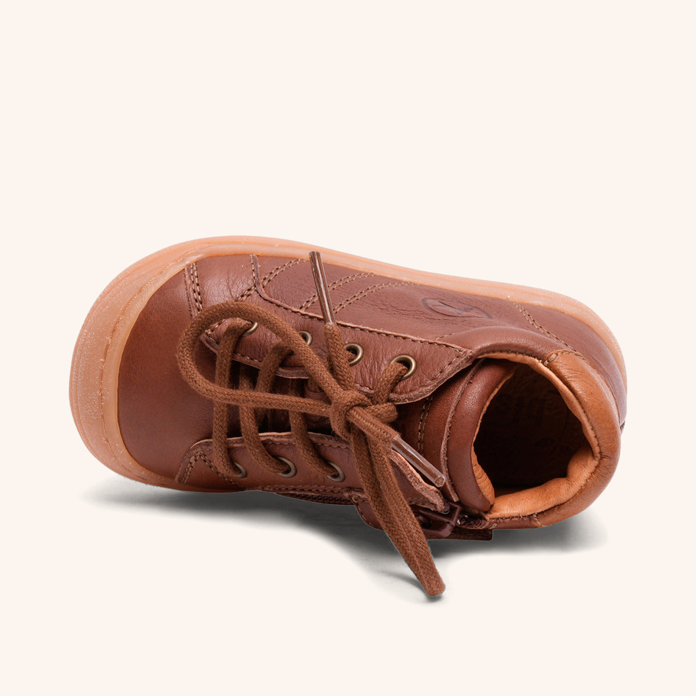 bisgaard thor z brandy