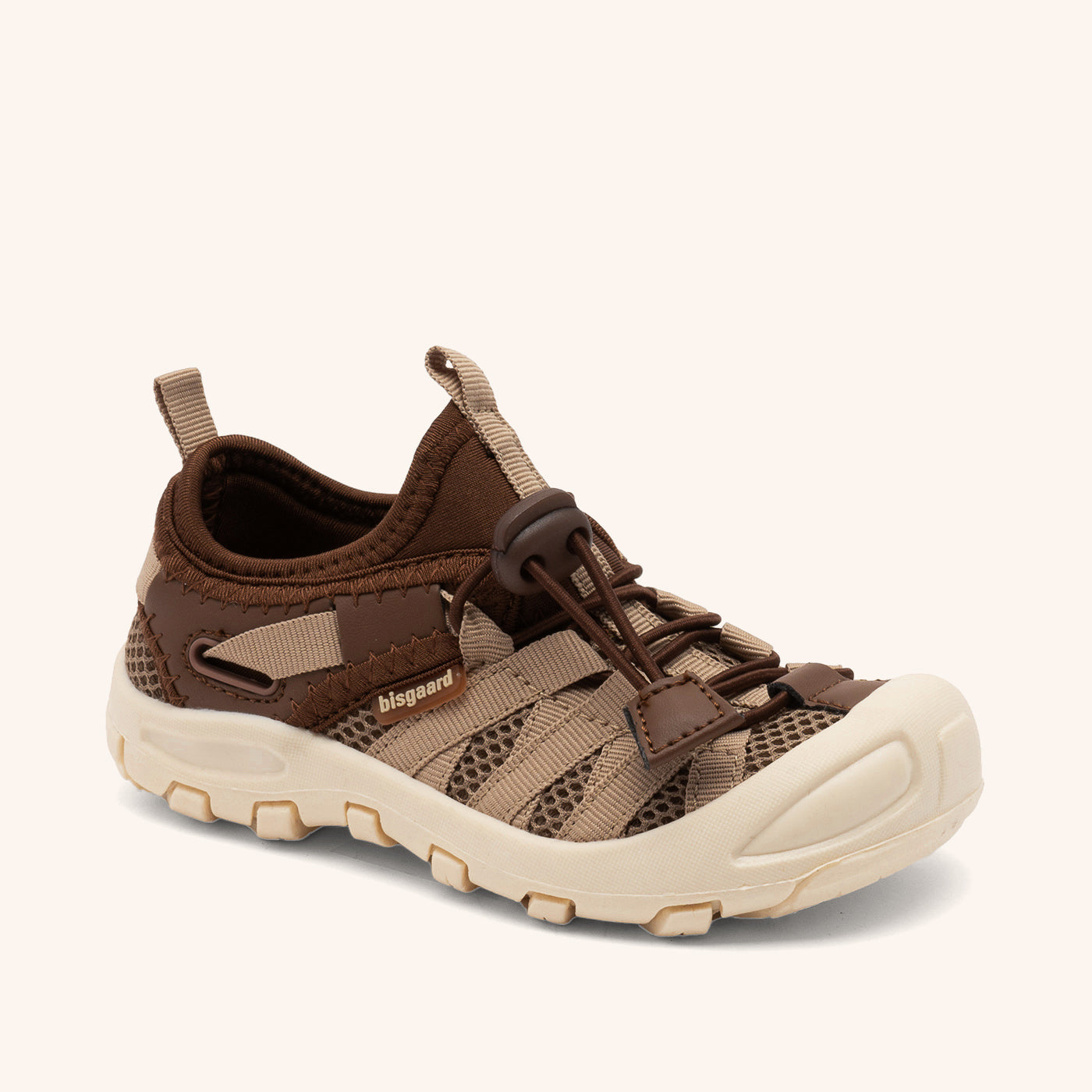 bisgaard zion brown