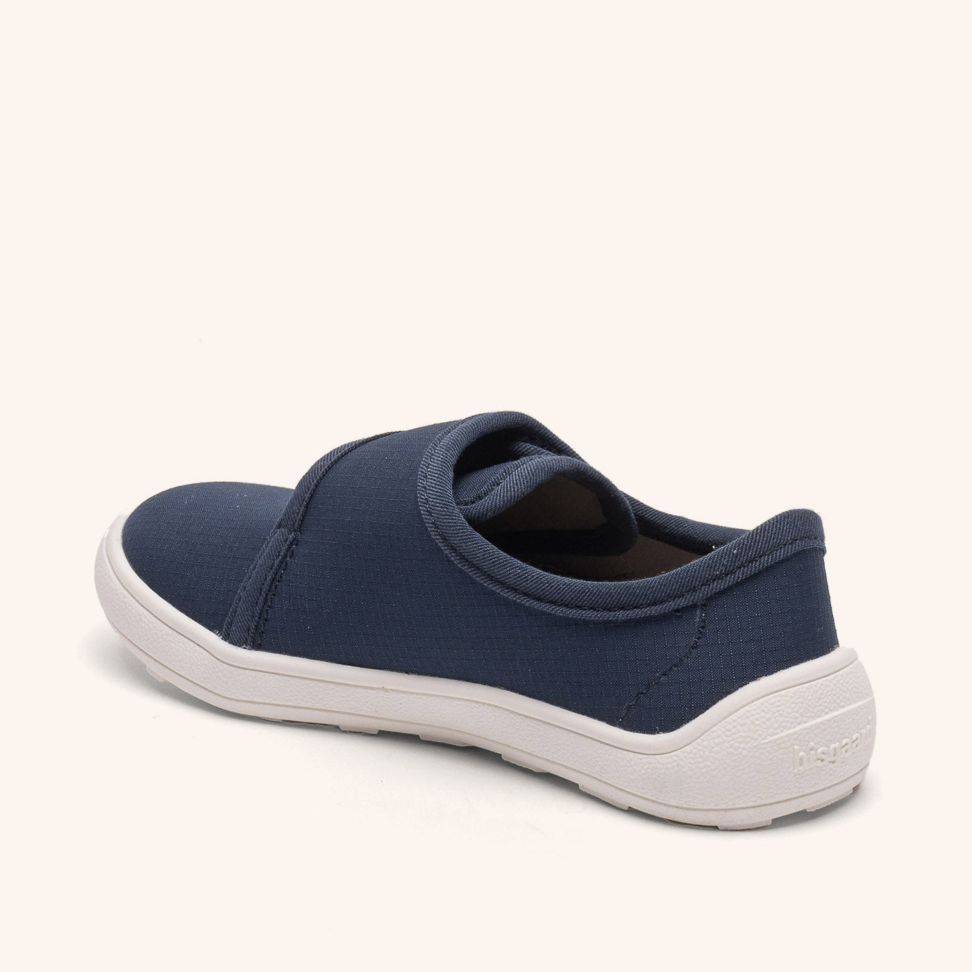 bisgaard pav ocean