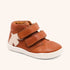 bisgaard barefoot theodore v brown