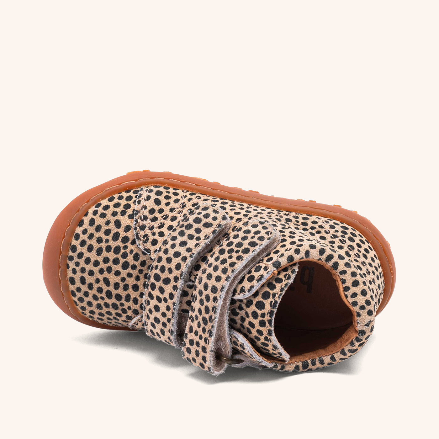 bisgaard hale v black dots