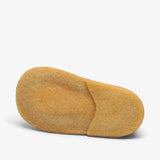 bisgaard sus gold