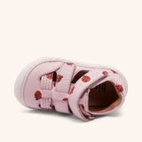 bisgaard hana lady bugs