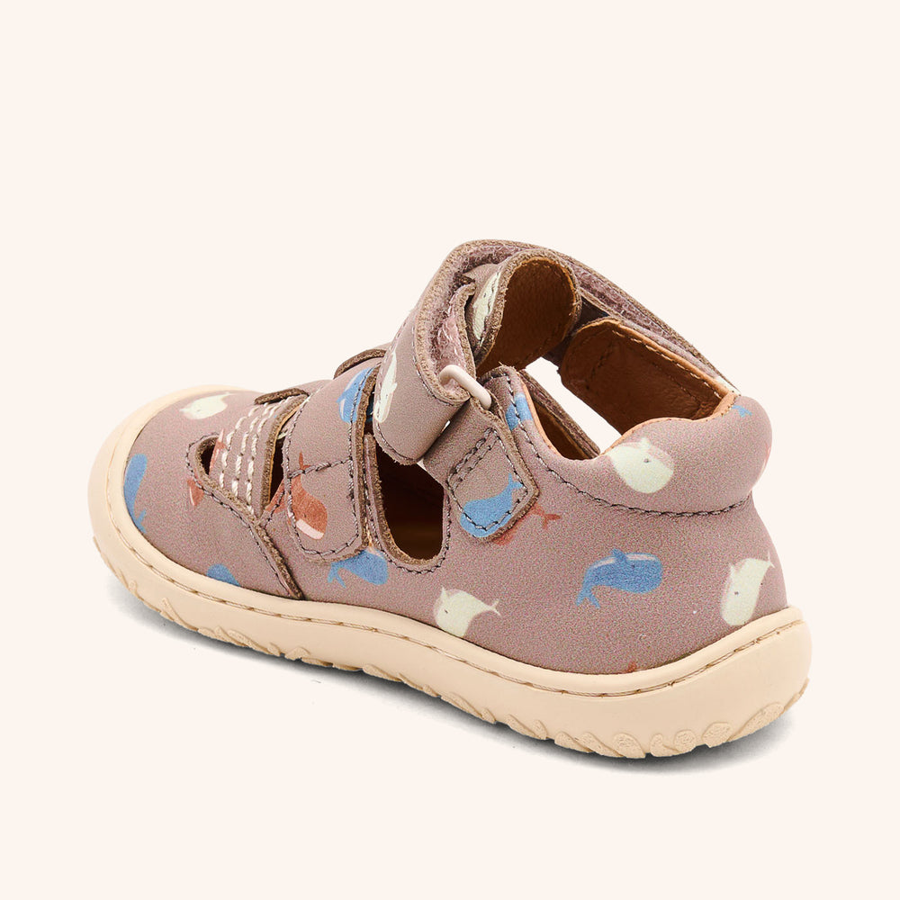 bisgaard hana whale