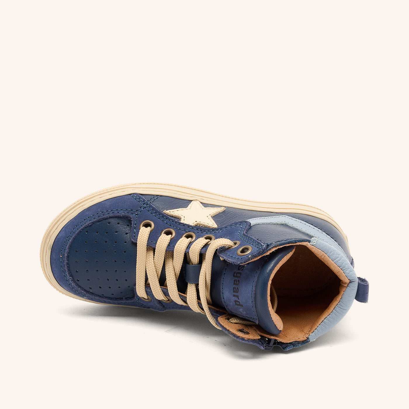 bisgaard isak navy