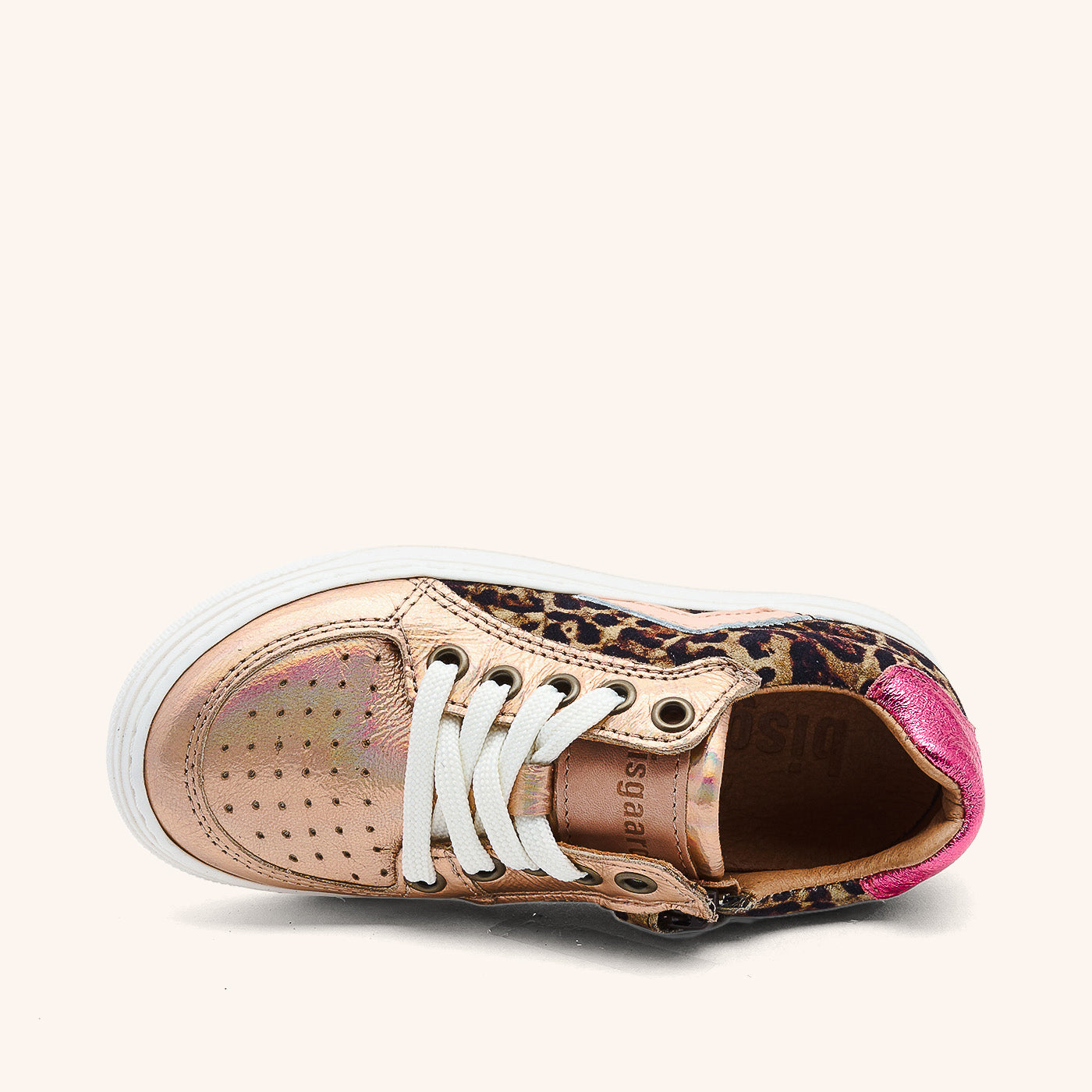 bisgaard colin leopard