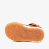 bisgaard holger cognac
