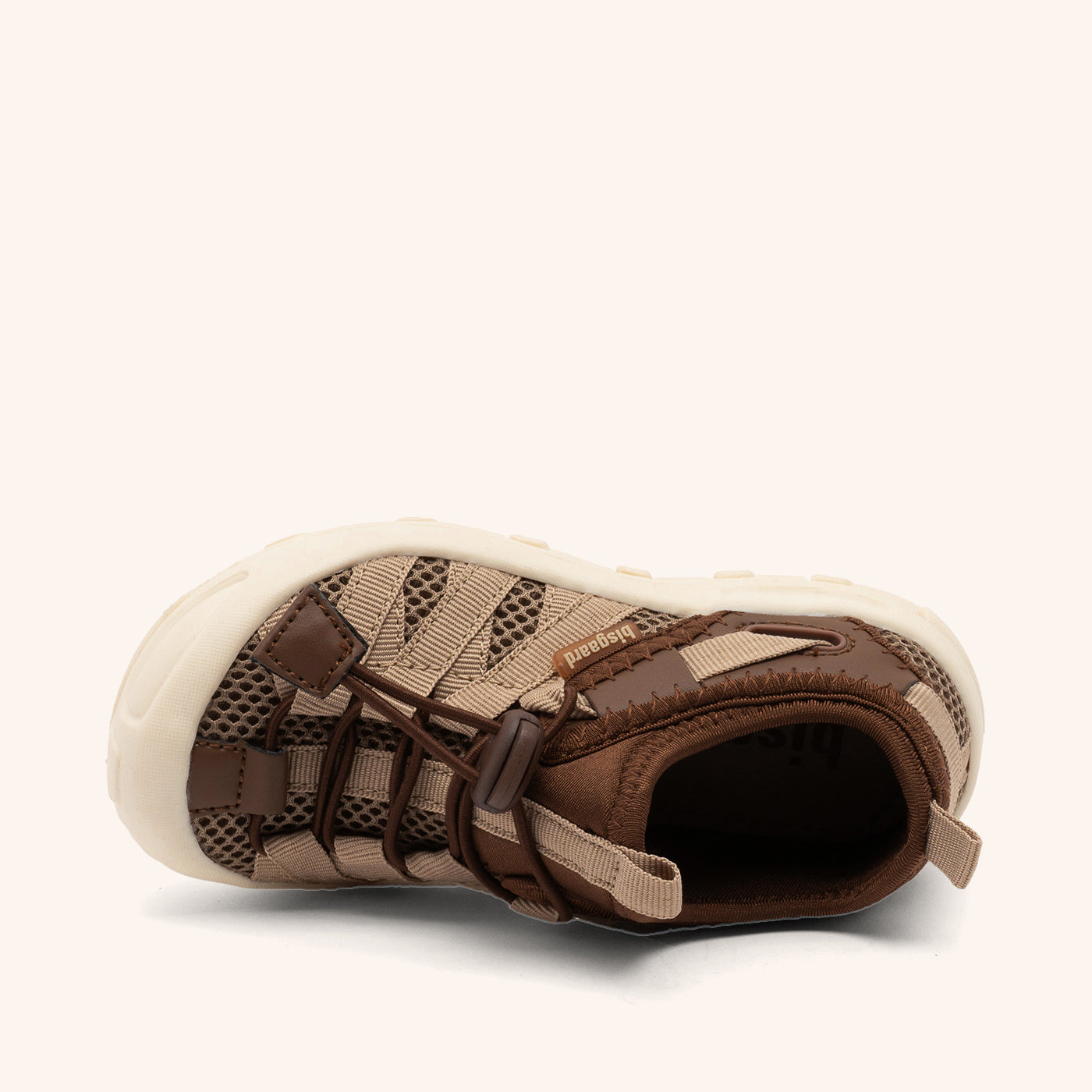 bisgaard zion brown