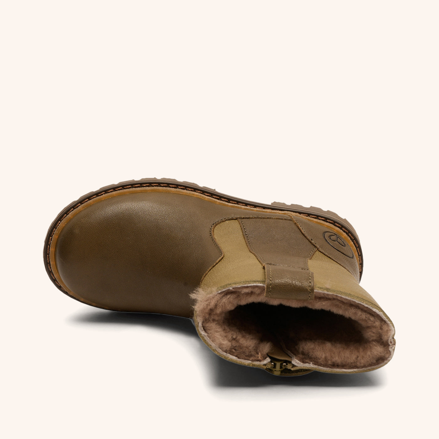 bisgaard niko lamb olive