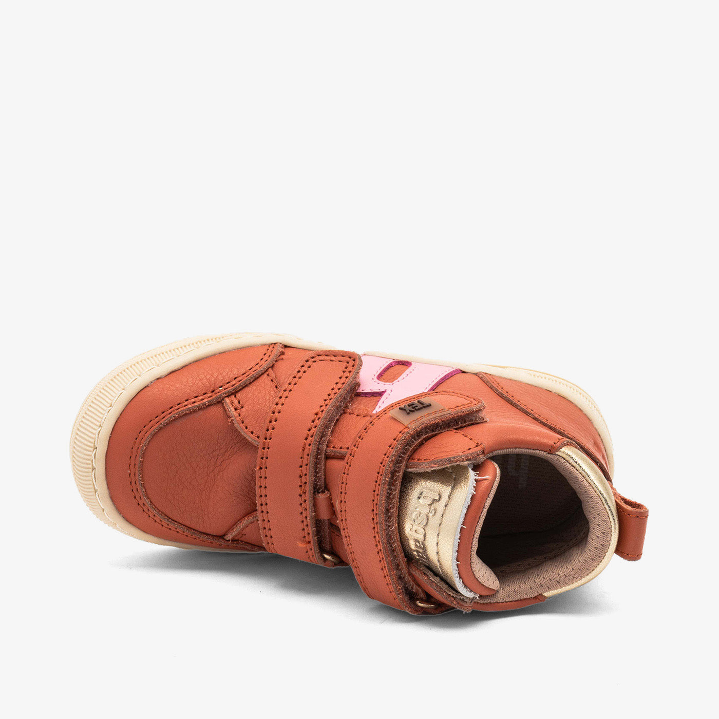 bisgaard dylan tex rose