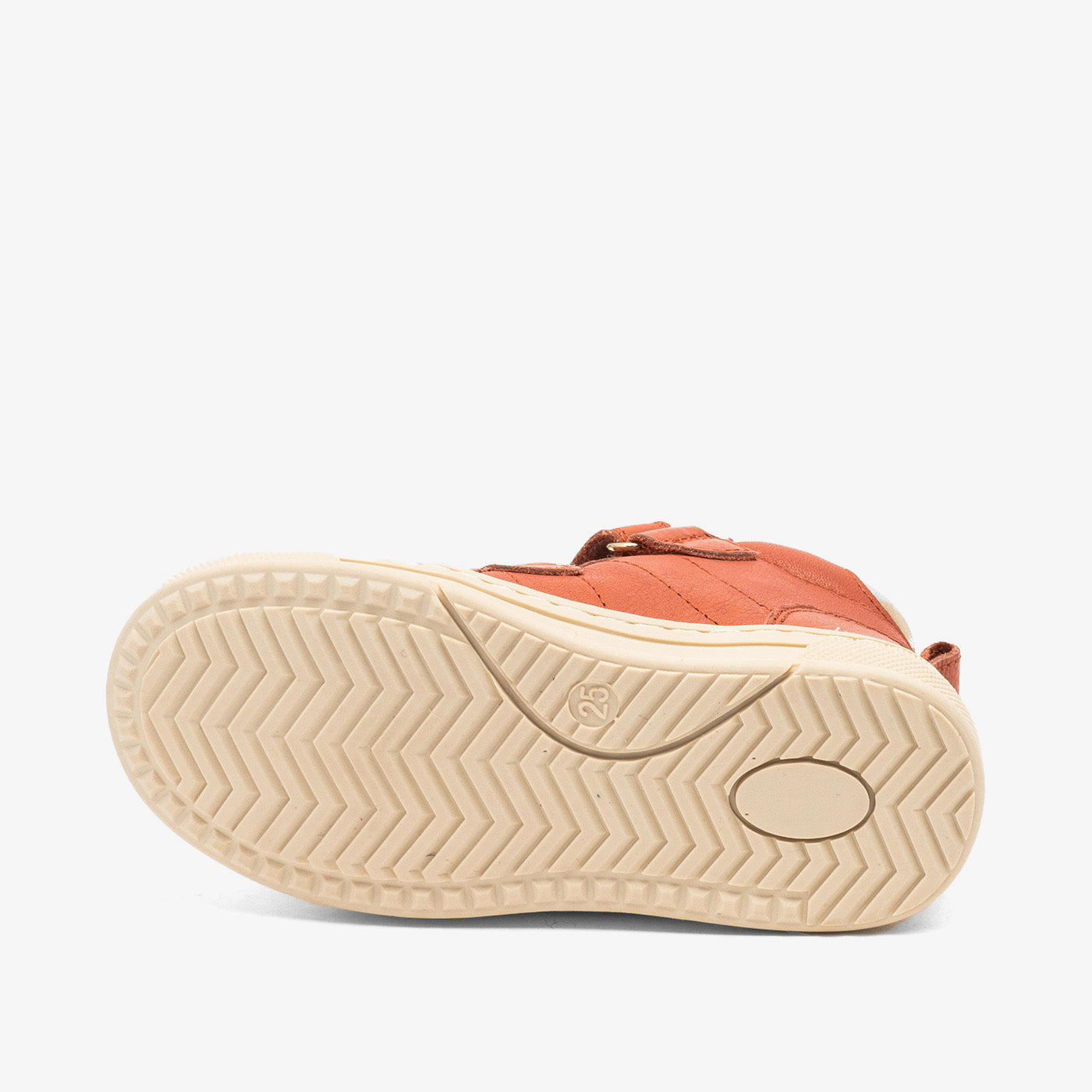 bisgaard dylan tex rose