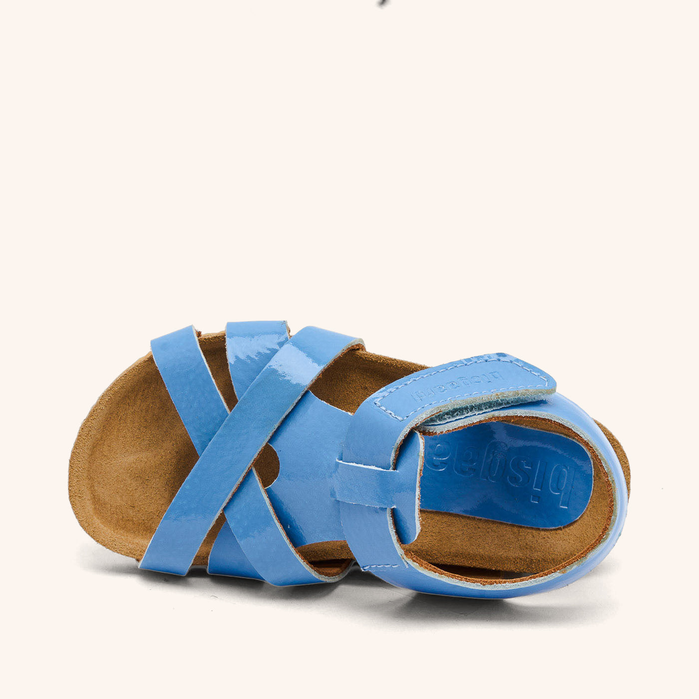 bisgaard aiden sky