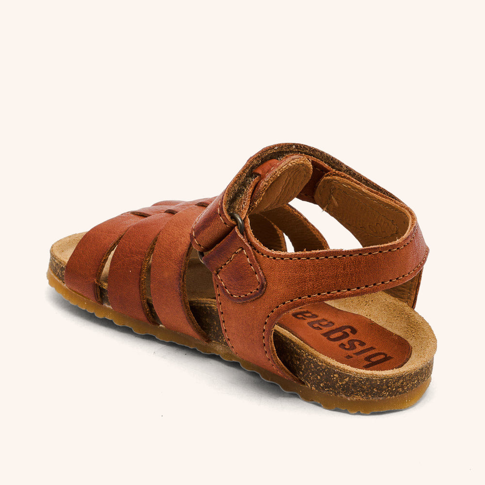 bisgaard aksel cognac