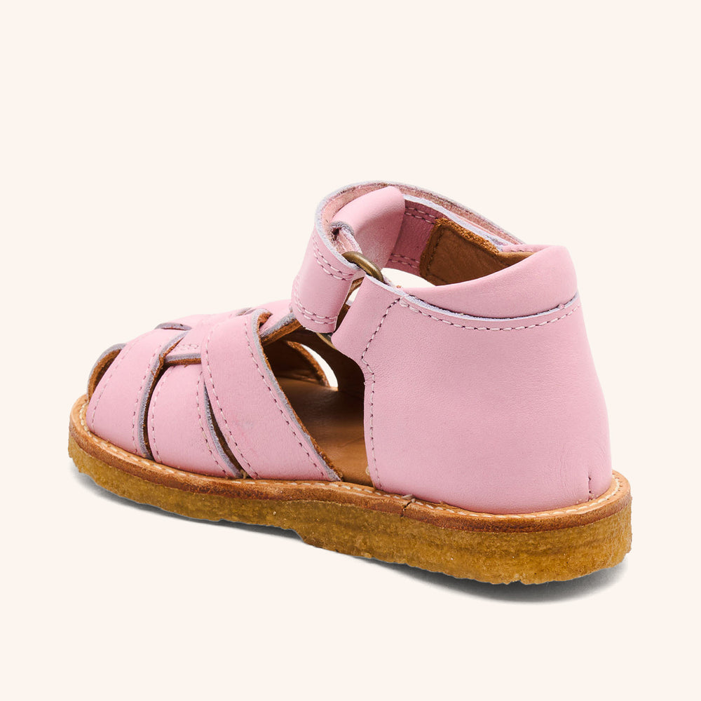 bisgaard ami rose