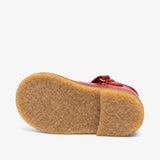 bisgaard almea rust patent