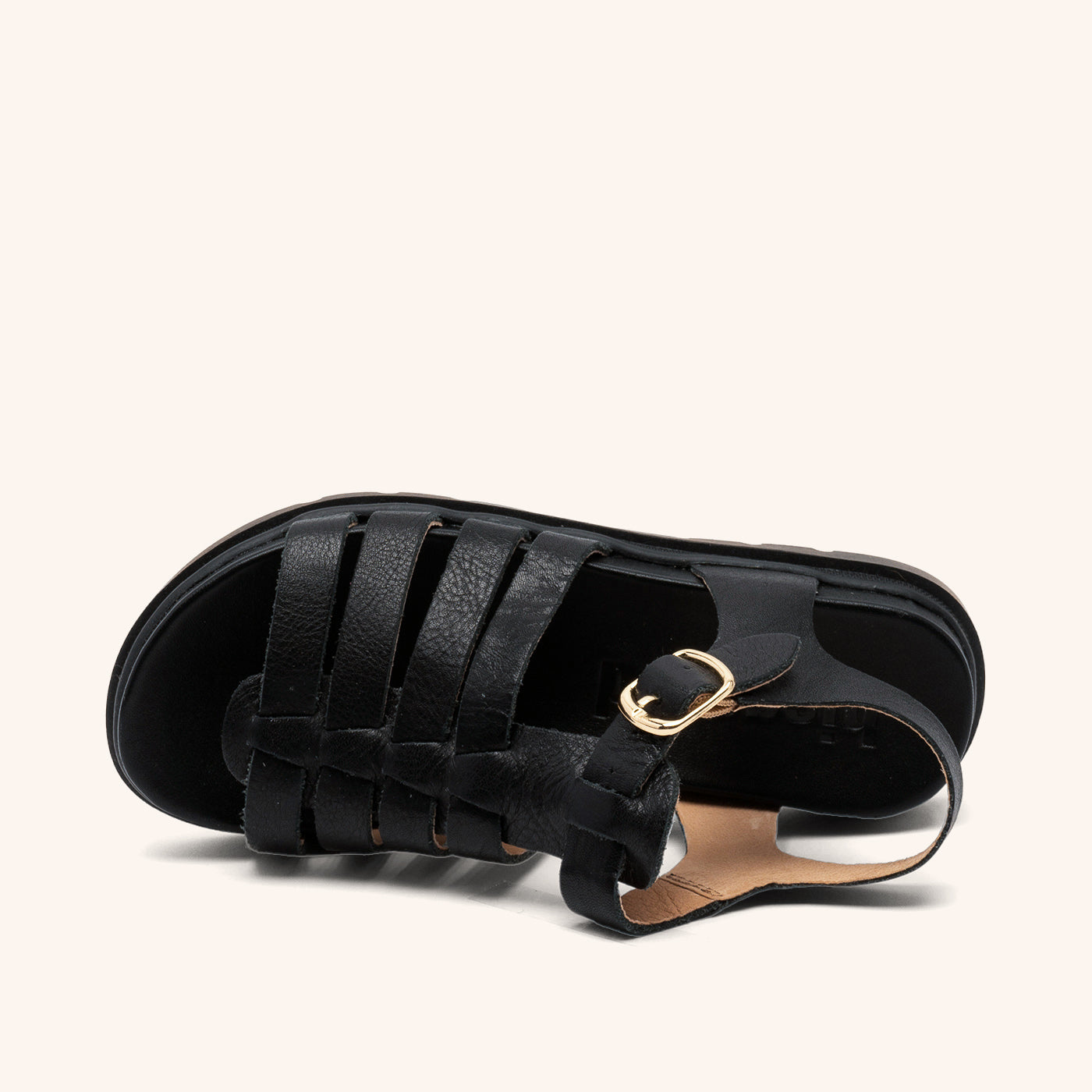 bisgaard bera black